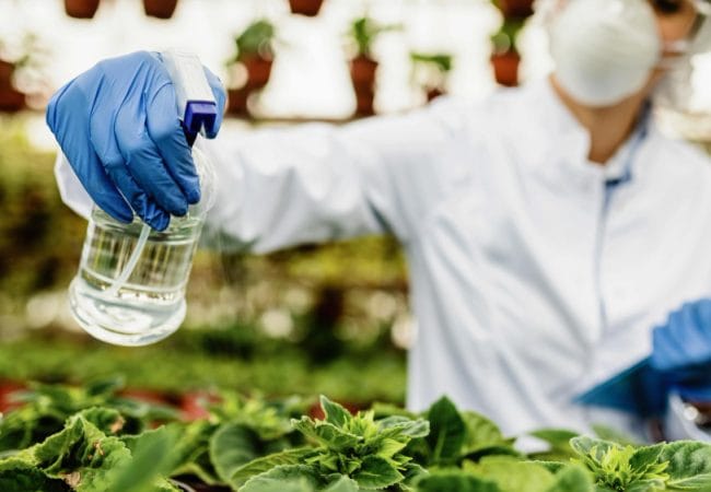 Seasonal Solutions​